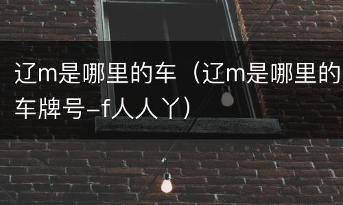 辽m是哪里的车（辽m是哪里的车牌号-f人人丫）