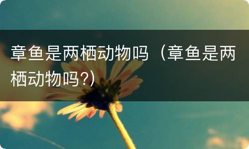 章鱼是两栖动物吗（章鱼是两栖动物吗?）