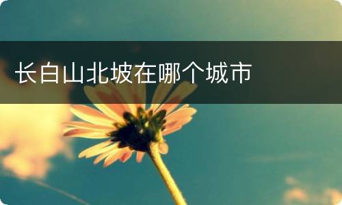 长白山北坡在哪个城市