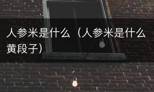人参米是什么（人参米是什么黄段子）