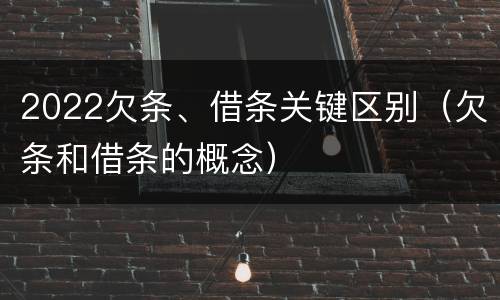 2022欠条、借条关键区别（欠条和借条的概念）