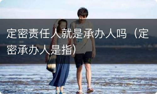 定密责任人就是承办人吗（定密承办人是指）