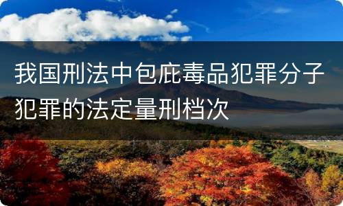 我国刑法中包庇毒品犯罪分子犯罪的法定量刑档次