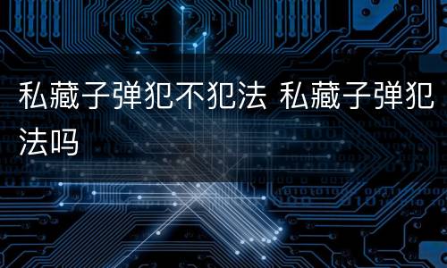 私藏子弹犯不犯法 私藏子弹犯法吗