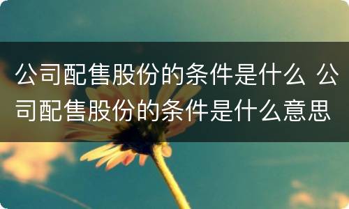 公司配售股份的条件是什么 公司配售股份的条件是什么意思