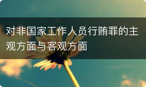 对非国家工作人员行贿罪的主观方面与客观方面
