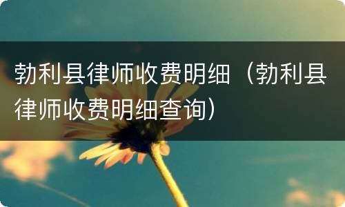 勃利县律师收费明细（勃利县律师收费明细查询）