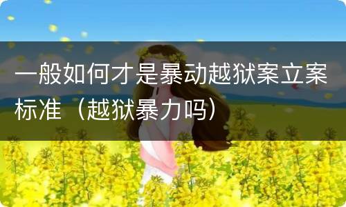 一般如何才是暴动越狱案立案标准（越狱暴力吗）