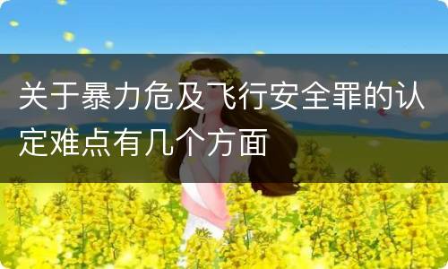 关于暴力危及飞行安全罪的认定难点有几个方面