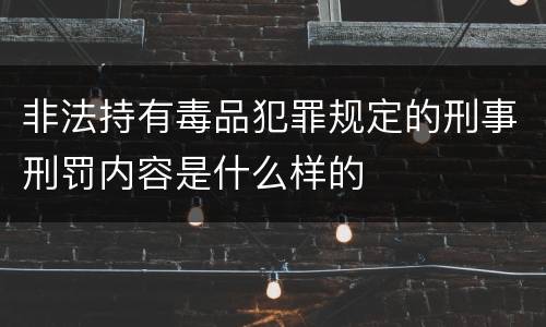 非法持有毒品犯罪规定的刑事刑罚内容是什么样的