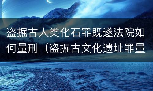 盗掘古人类化石罪既遂法院如何量刑（盗掘古文化遗址罪量刑）
