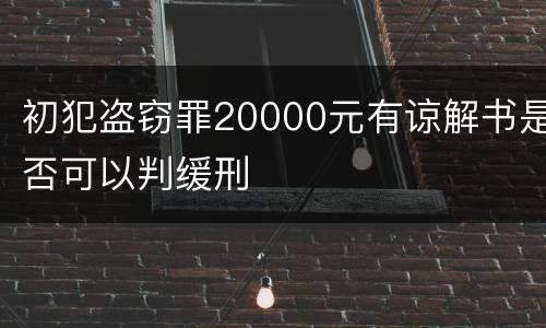 初犯盗窃罪20000元有谅解书是否可以判缓刑