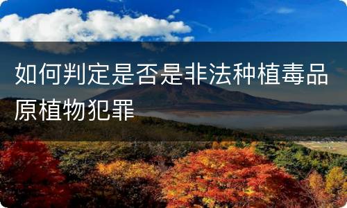 如何判定是否是非法种植毒品原植物犯罪