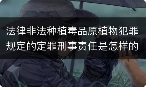 法律非法种植毒品原植物犯罪规定的定罪刑事责任是怎样的
