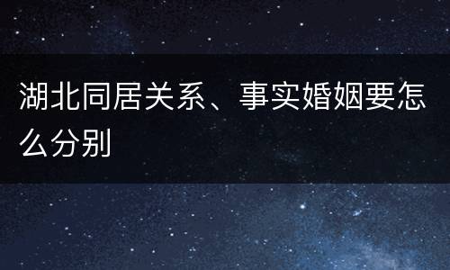 湖北同居关系、事实婚姻要怎么分别