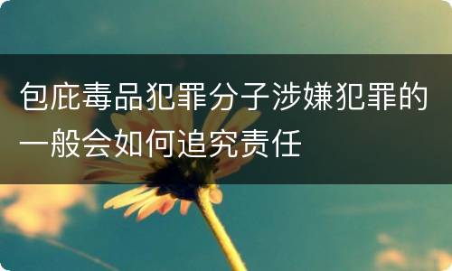 包庇毒品犯罪分子涉嫌犯罪的一般会如何追究责任