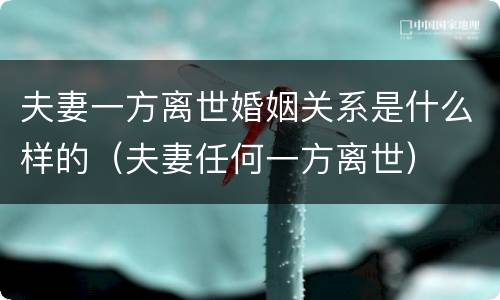 夫妻一方离世婚姻关系是什么样的（夫妻任何一方离世）