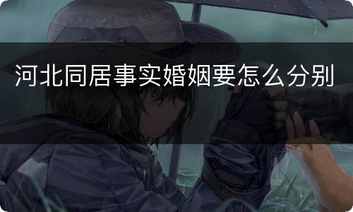 河北同居事实婚姻要怎么分别
