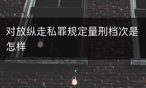 对放纵走私罪规定量刑档次是怎样