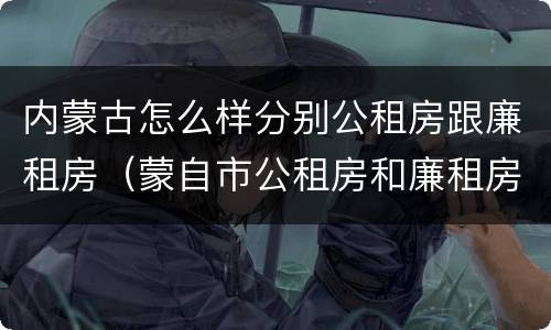内蒙古怎么样分别公租房跟廉租房（蒙自市公租房和廉租房）