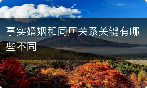 事实婚姻和同居关系关键有哪些不同