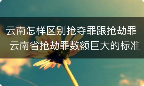 云南怎样区别抢夺罪跟抢劫罪 云南省抢劫罪数额巨大的标准