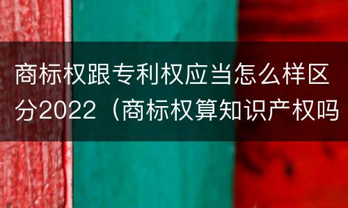 商标权跟专利权应当怎么样区分2022（商标权算知识产权吗）