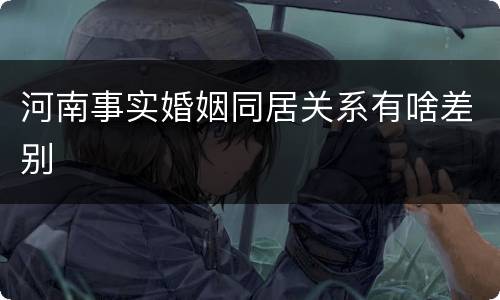河南事实婚姻同居关系有啥差别