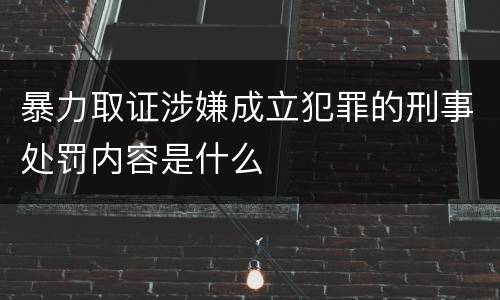 暴力取证涉嫌成立犯罪的刑事处罚内容是什么