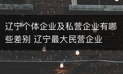 辽宁个体企业及私营企业有哪些差别 辽宁最大民营企业