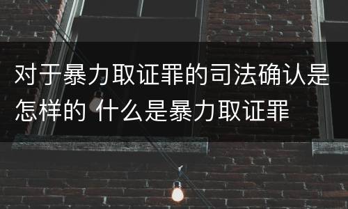 对于暴力取证罪的司法确认是怎样的 什么是暴力取证罪
