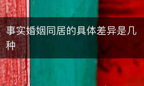 事实婚姻同居的具体差异是几种