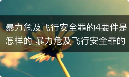 暴力危及飞行安全罪的4要件是怎样的 暴力危及飞行安全罪的构成要件