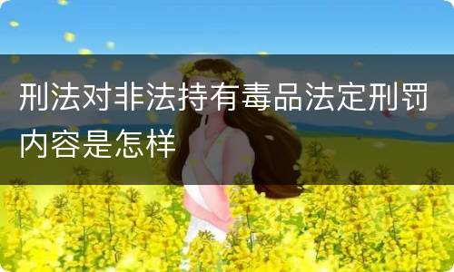 刑法对非法持有毒品法定刑罚内容是怎样
