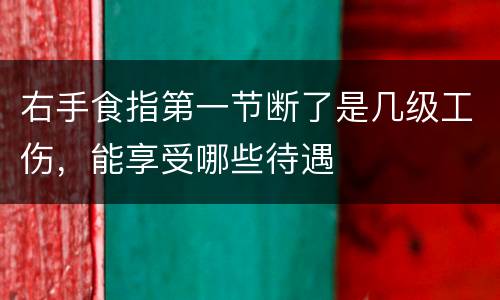 右手食指第一节断了是几级工伤，能享受哪些待遇
