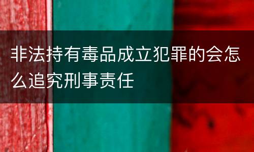 非法持有毒品成立犯罪的会怎么追究刑事责任