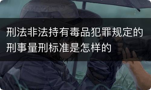 刑法非法持有毒品犯罪规定的刑事量刑标准是怎样的