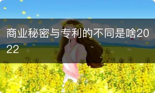 商业秘密与专利的不同是啥2022