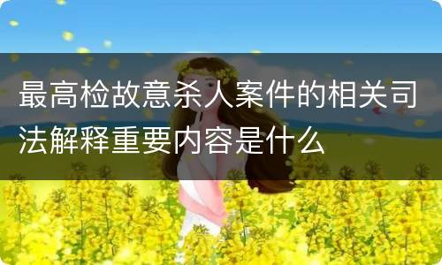 最高检故意杀人案件的相关司法解释重要内容是什么