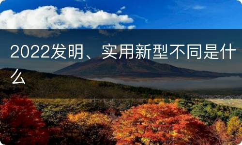 2022发明、实用新型不同是什么