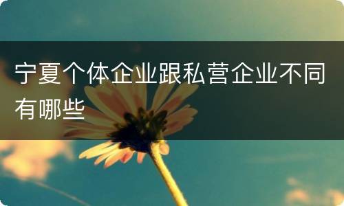 宁夏个体企业跟私营企业不同有哪些