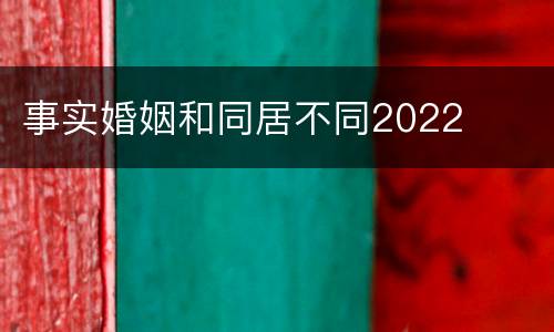 事实婚姻和同居不同2022