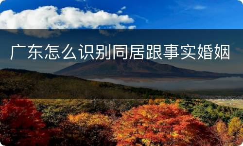 广东怎么识别同居跟事实婚姻