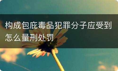 构成包庇毒品犯罪分子应受到怎么量刑处罚