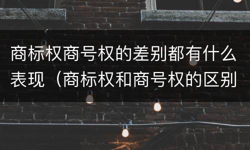 商标权商号权的差别都有什么表现（商标权和商号权的区别）