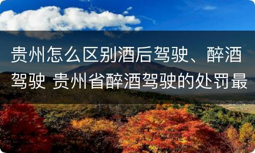 贵州怎么区别酒后驾驶、醉酒驾驶 贵州省醉酒驾驶的处罚最高是多少