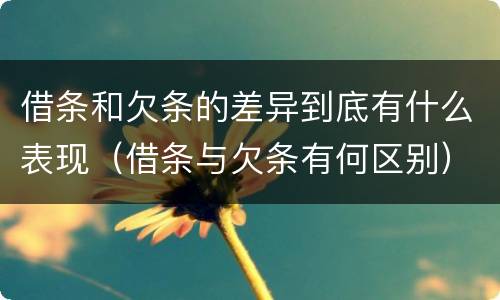 借条和欠条的差异到底有什么表现（借条与欠条有何区别）
