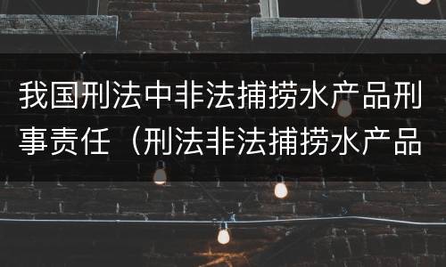 我国刑法中非法捕捞水产品刑事责任（刑法非法捕捞水产品罪）