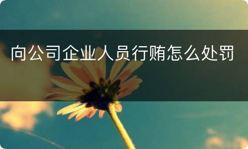 向公司企业人员行贿怎么处罚