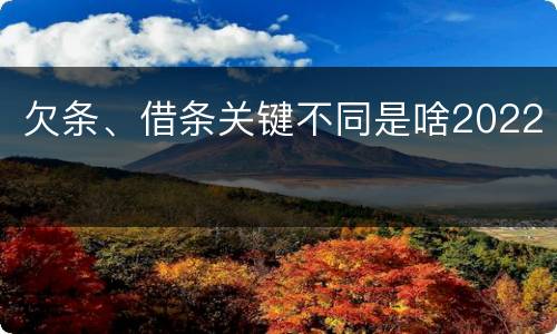 欠条、借条关键不同是啥2022
